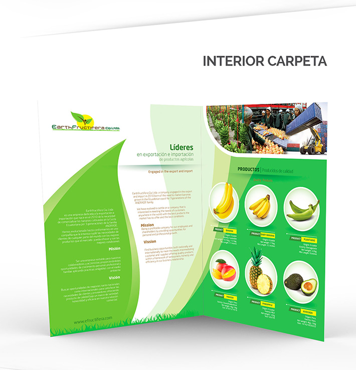 Brochure design Guayaquil
