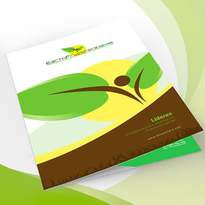 Brochure design Guayaquil