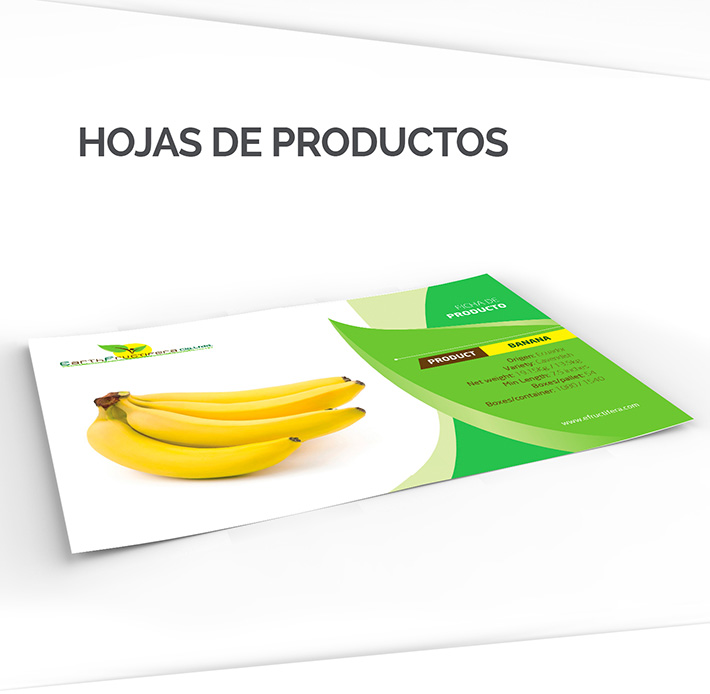 Agencia de publicidad Guayaquil